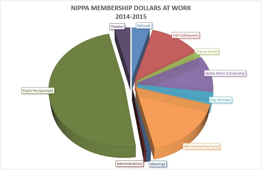 NIPPA Financials Pie Chart